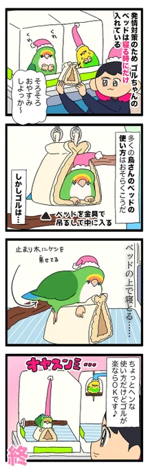 ゴルちゃん、バードベッドでなんだか独特な寝方してる🧐

2016 #えるポピの絵日記かくところ 