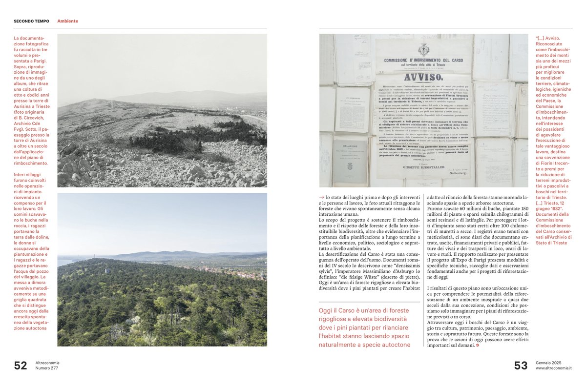 schirragiraldi's tweet photo. the art FROM STONE TO WOOD on @altreconomia – january issue

DA PIETRA A BOSCO – Crossing the bicentenary reforestation of the Karst leads to the future. More than 200 years have passed since the great reforestation plan of the Karst was imagined. https://t.co/ImQdMCHBCM