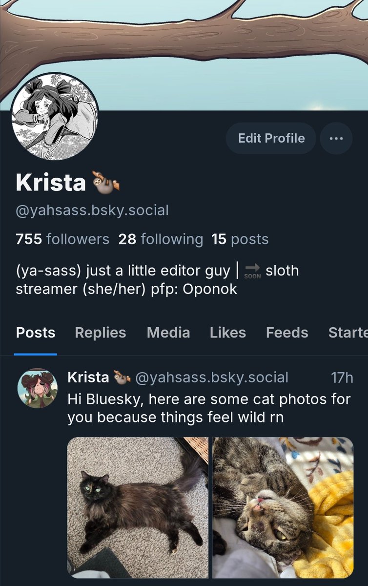 krista🦥 tweet media