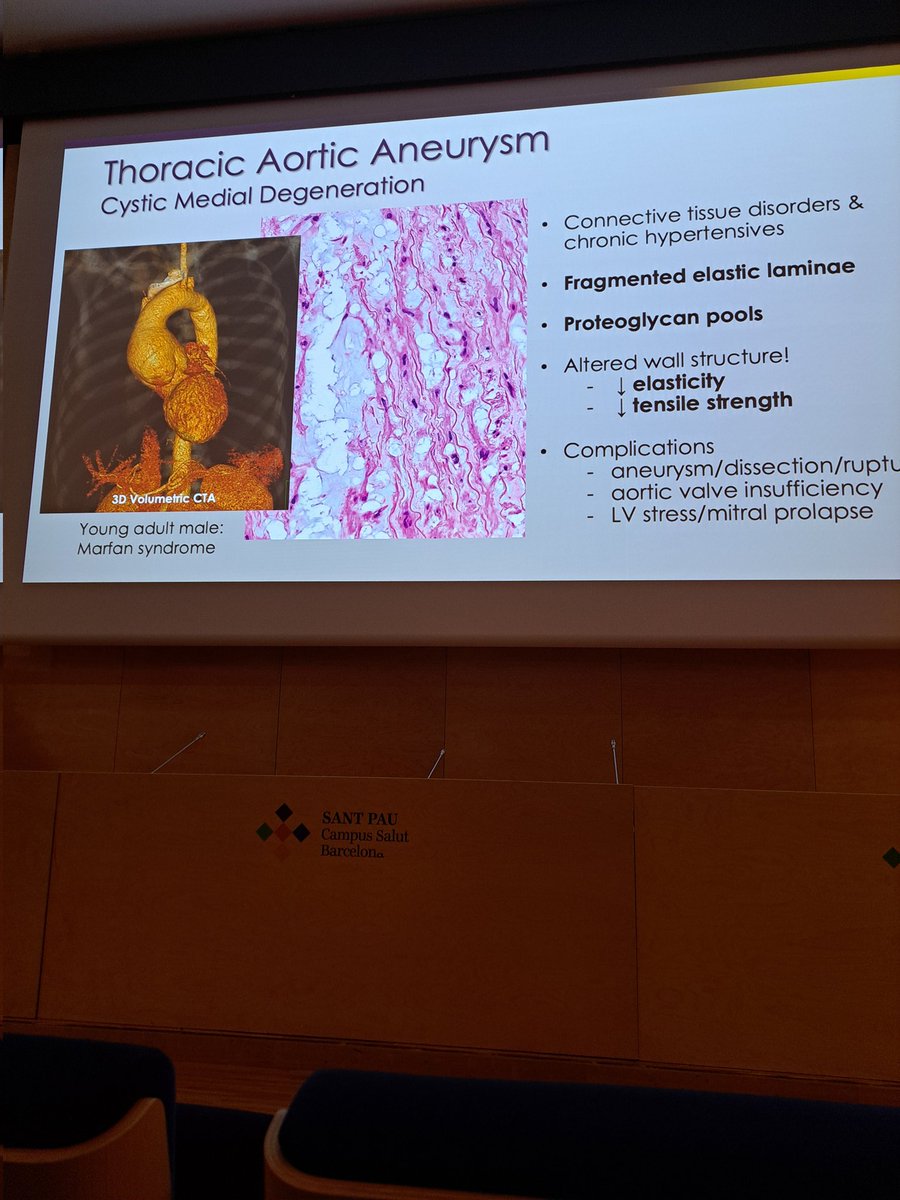 EAHornia's tweet photo. Radio-pathological correlation is really nice!! 🤩

@AIRP_Radiology @SERAM_RX @residentesSERAM https://t.co/mF74YYDYIX