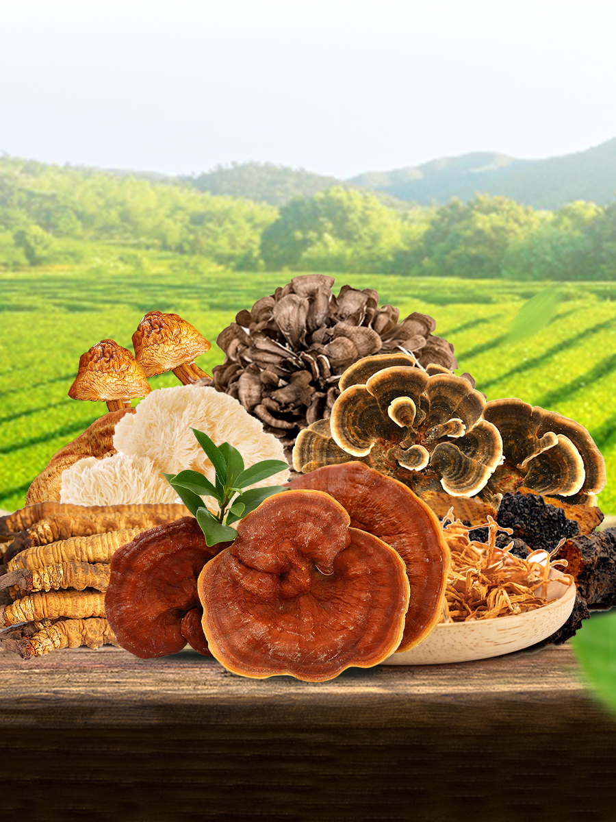 wlsw5050's tweet image. A Milestone Worth Commemorating: 1,000 Product Formulations at Herbal Treasure
#OEM  #functionalmushroom  #HerbalTreasure  #oemfactory