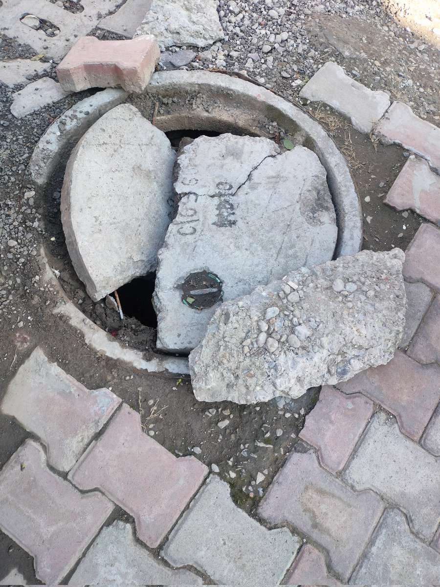 Nisha Srivastava tweet media