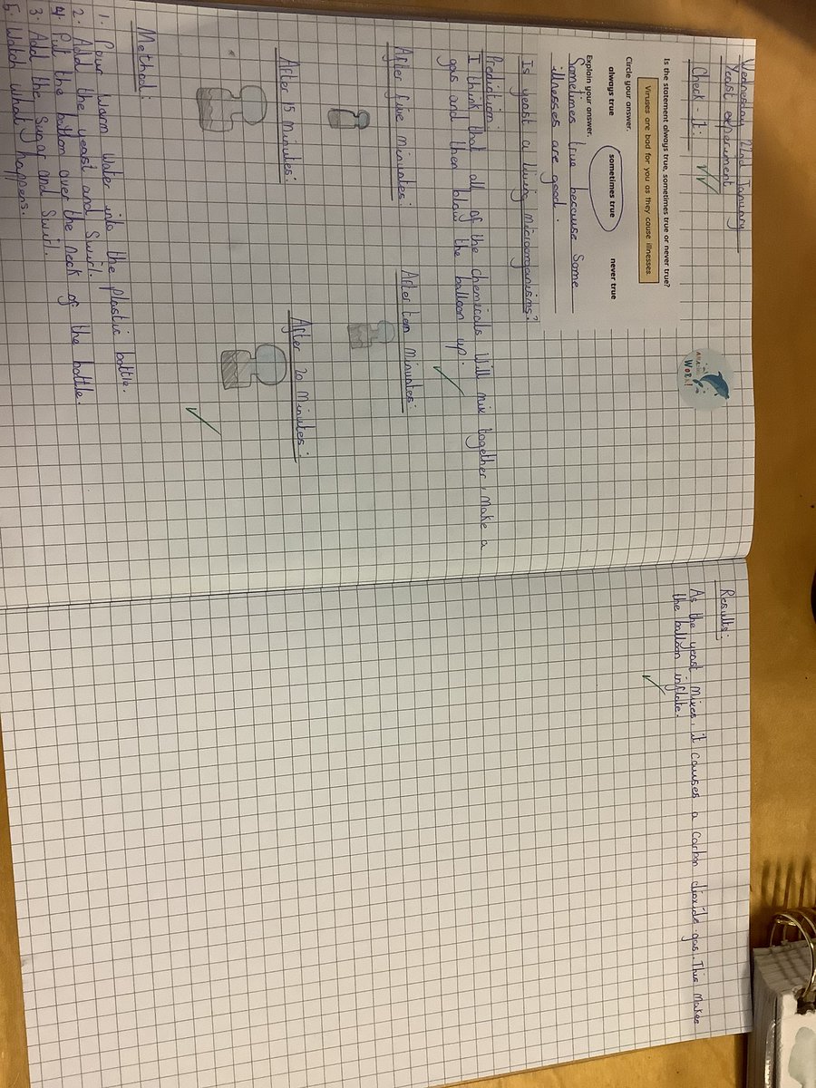 Miss Taylor tweet media