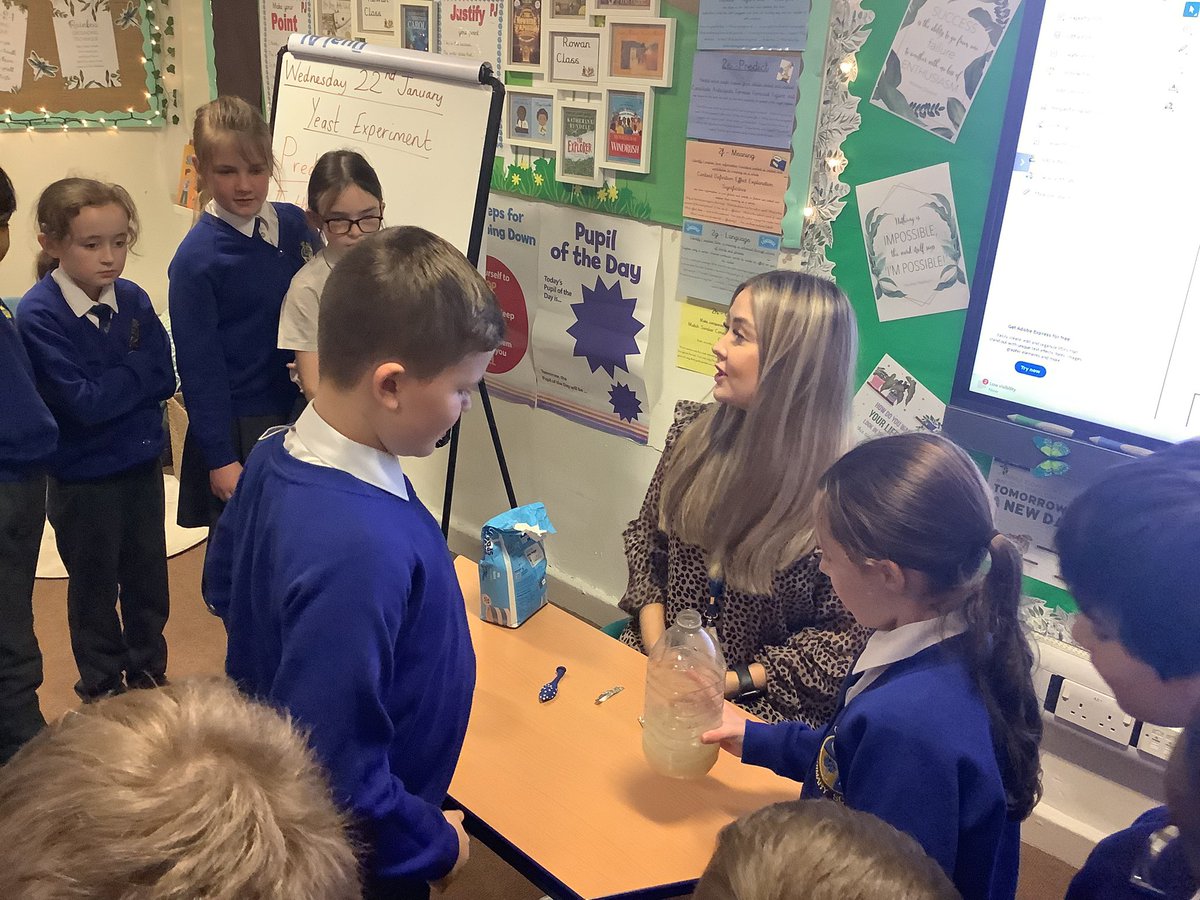 Miss Taylor tweet media