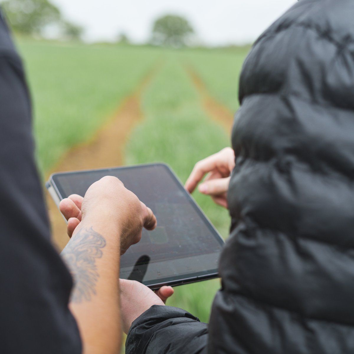 Arvorum UK tweet media