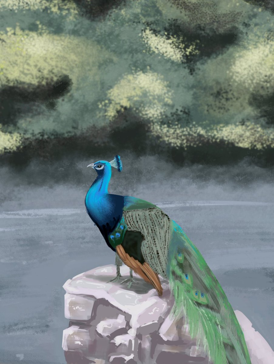 Ignian's tweet photo. A Regal Peacock
This regal avian, displaying its vibrant plumage, its tail entrancing onlookers.
An embodiment of grace, where beauty knows no bounds.
Time taken: 1h 39m
#peacock #digitalpainting #digitalart #colourstudy #artstudiopro #art #artstudy #animalart #bird https://t.co/WskrebWspu