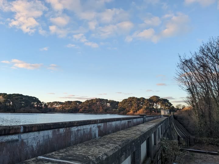 Those crisp Winter days