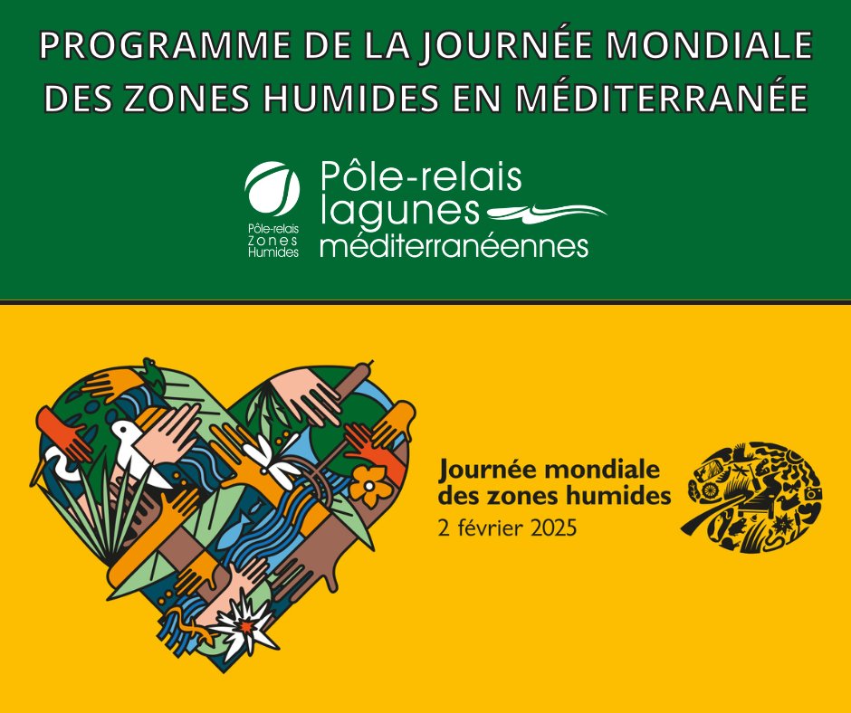 Pôle-relais lagunes méditerranéennes tweet media