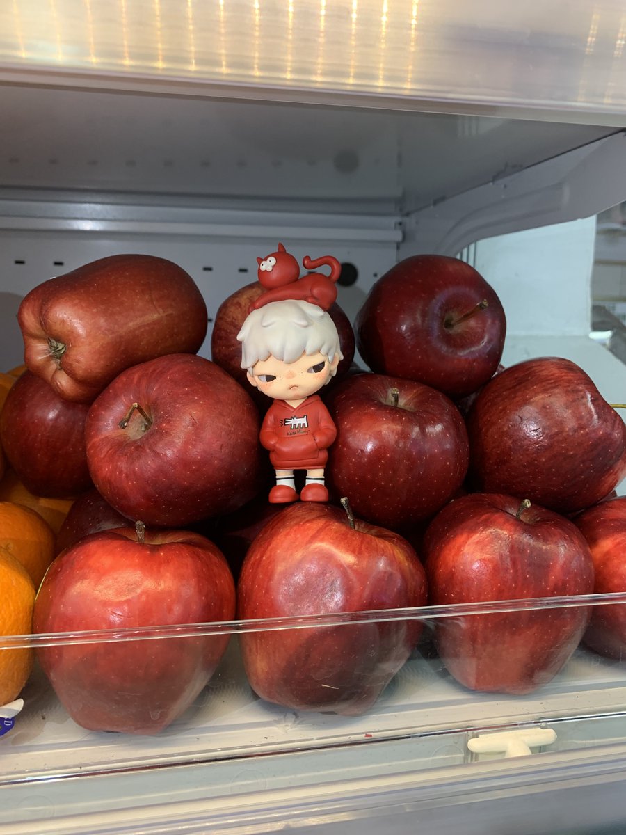 hironoful's tweet photo. hide and seek at the grocery 🍎🐈❤️ https://t.co/FTGYf0ZK0a