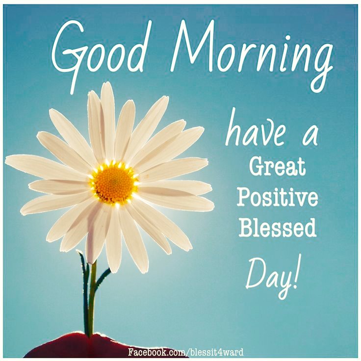 BelloMujahid's tweet photo. Good morning, community! May your day be filled with sunshine, positivity, and the warmth of our shared connection https://t.co/NQqCf8CEze
