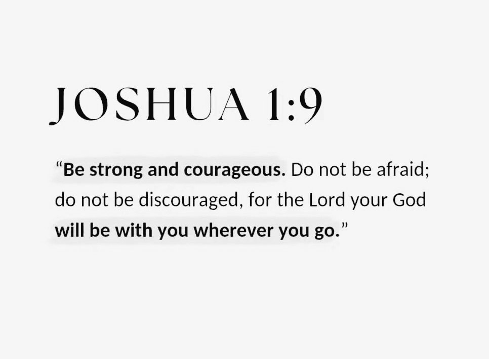 Holy Bible tweet media