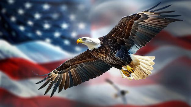 ForFiveStar's tweet photo. @CharlieKNews How on earth is that a serious question. The distinguished gentleman is spot on smarter than any dc person accurate, quick with precision the exact correct answer on a dam dime , every time. W/ a flinch or spec of hesitation. HE DOES NOT SUGARCOAT ~ Problem detailed : and solved! https://t.co/K6ROiw1tsw