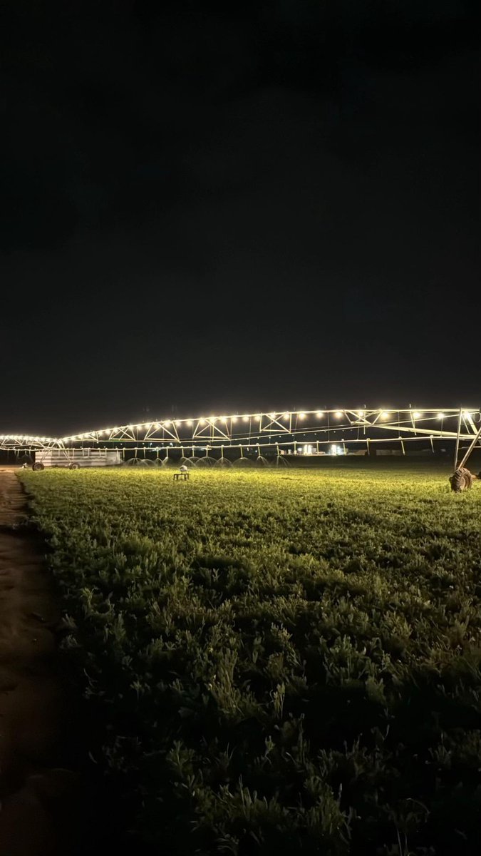 :

الدروب المستقيمة لو حصل فيها انعواجه
ما تهم اللي على العليا طموحاته كـبيررره

🩵