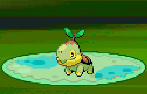 Turtwig, from Pokemon Diamond and Pearl (2006)