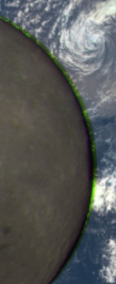 Wilson Law tweet media