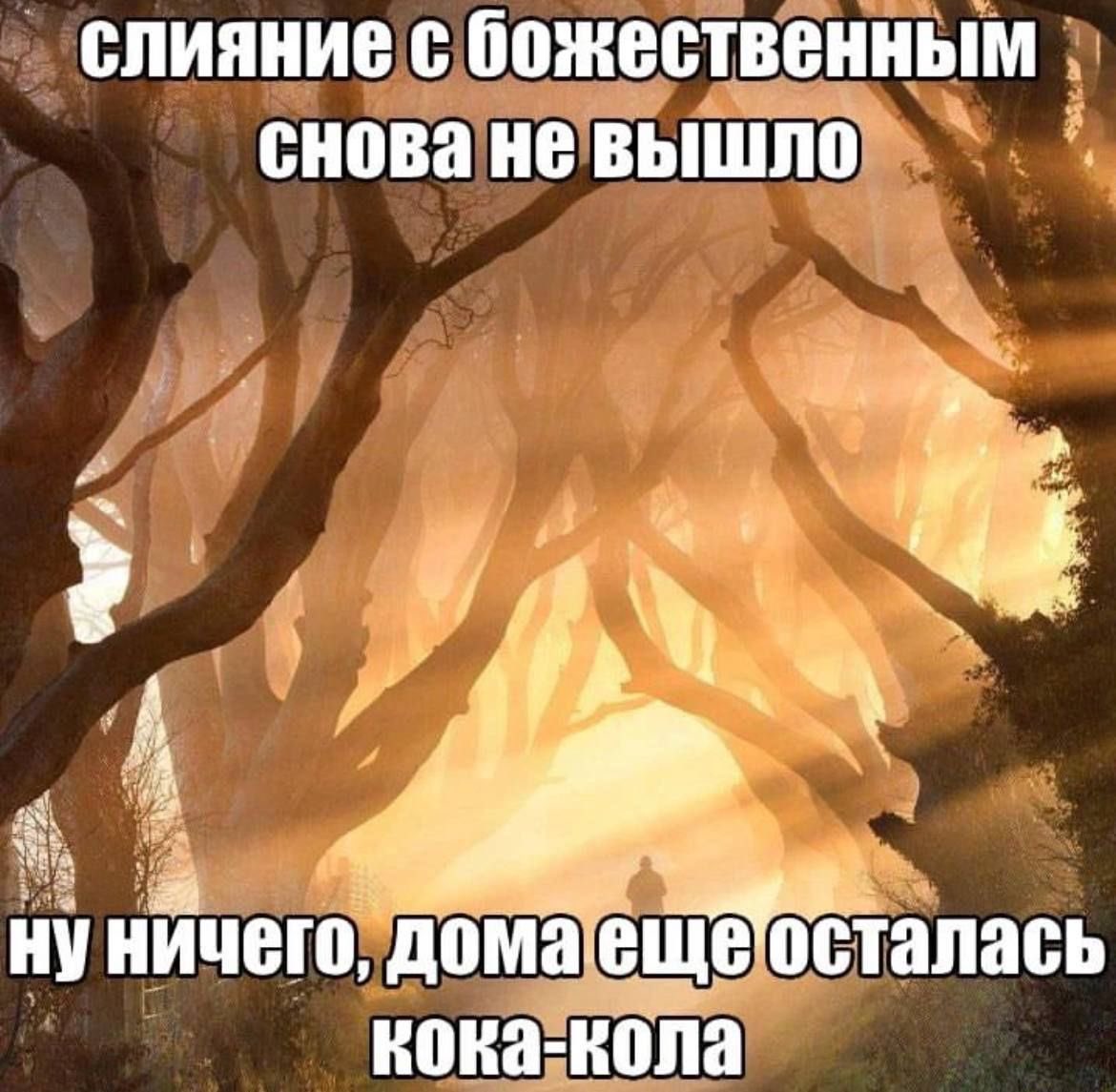спутницα холмсα. tweet media