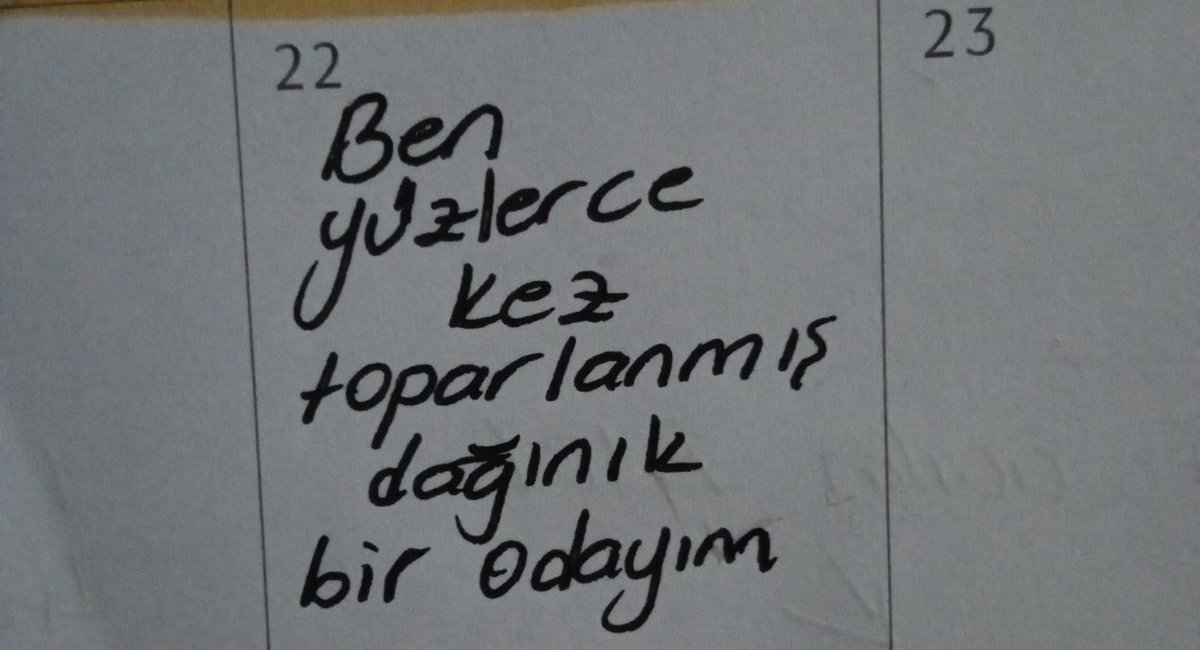 Ceren Erol (@tcerenerol) on Twitter photo 