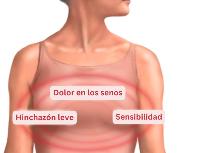MindBodyIsLife's tweet image. 1. Dolor de cabeza.  
2. Temperatura corporal alta.  
3. Mareos (sensación de cansancio y somnolencia).  
4. Sensibilidad en los senos/aumento de tamaño, similar a cuando estás menstruando.  
5. Incremento del deseo sexual.  
6. Calambres leves o dolor en un lado de la pelvis.…