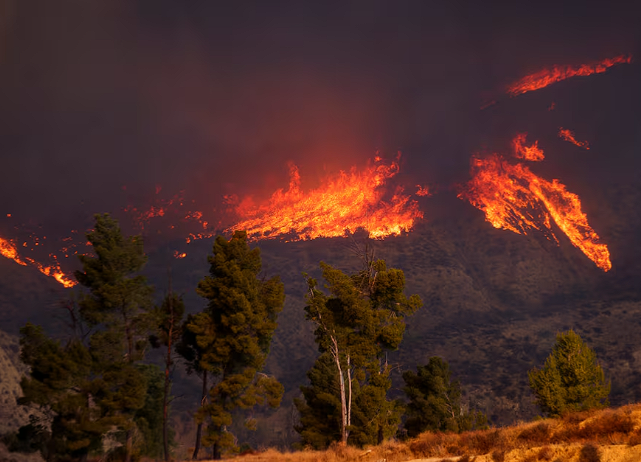 firehorse249791's tweet photo. [U.S] Hughes Fire: New wildfire near Los Angeles explodes to more than 9,400 acres, forces evacuations > https://t.co/tEfhS2K31T via #Capitalism💀#ClimateCrisis #SevereWeather #Heatwave #Drought #Wildfire #HughesFire #Ventura #Riverside #SanDiego #LosAngeles #California #USA https://t.co/JSbxsaA7Dz