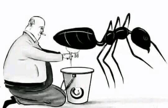 أكذب بيت شعر وأصدق بيت في آن واحد للشاعر المتنبي:
بعيني رأيت الذئب يحلب نملة
                          ويشرب منها رائباً وحليبا

يقول المتنبي: أما من حيث أنه أكذب بيت لأن الذئب لا يعرف كيفية الحليب وأصلا النملة ليست بالحلوب أما وأنه أصدق بيت من الشعر يقول المتنبي: كنت مرة في أحد