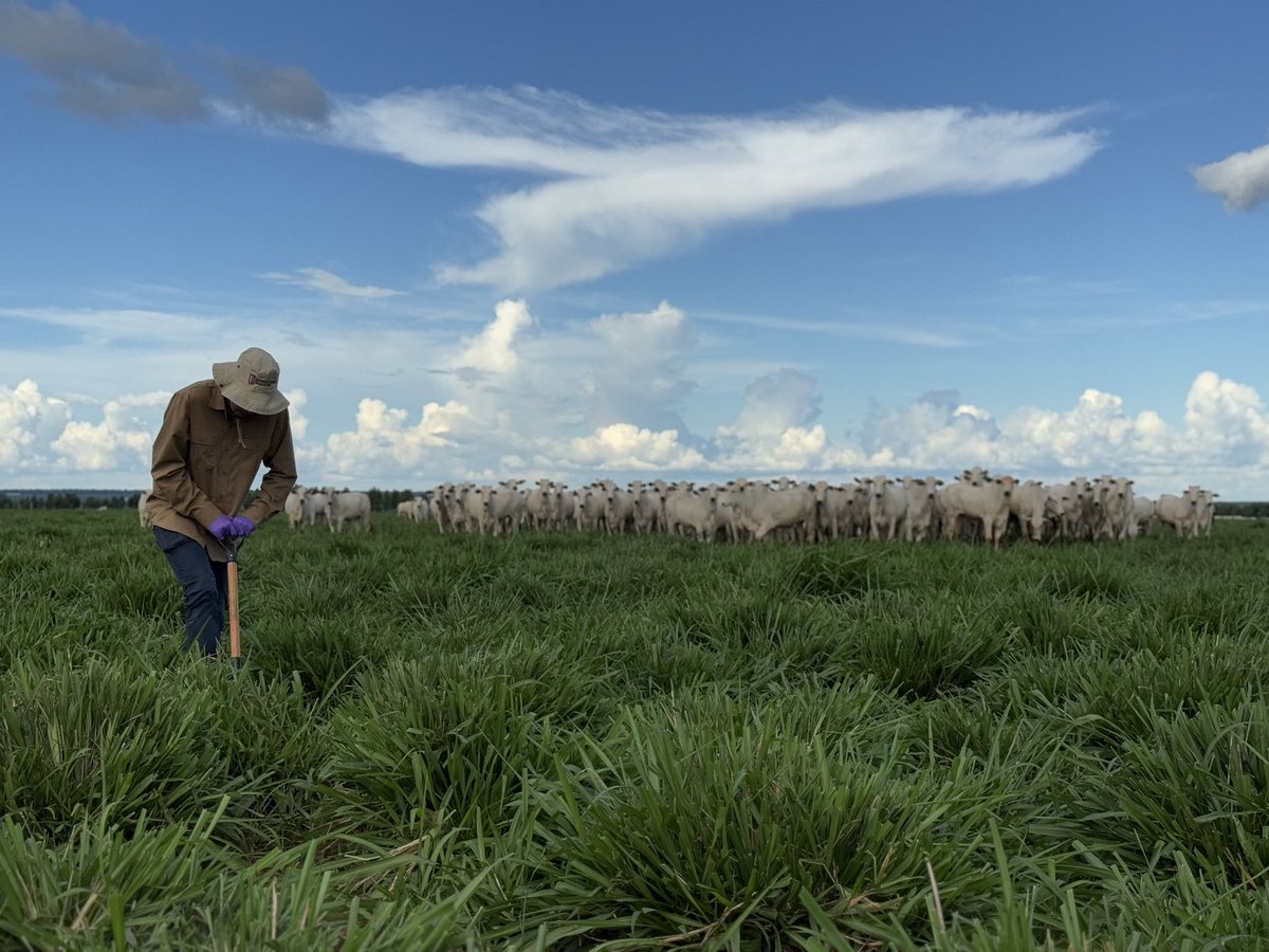 Soil Microbial Agroecology Lab tweet media
