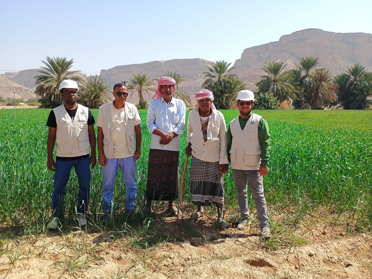 15bebd462fc143c's tweet photo. تم صباح هذا اليوم بمديرية وادي العين وحوره زيارة ميدانية لحقول محصول القمح التابع لمشروع KSR من قبل ضابط المشروع المهندس/انور الحسين وكذلك مدير مكتب الزراعة بمديرية وادي العين وحوره/ربيع سالمين برباع
والاستشاريين بالمديرية https://t.co/Q1muUythLR