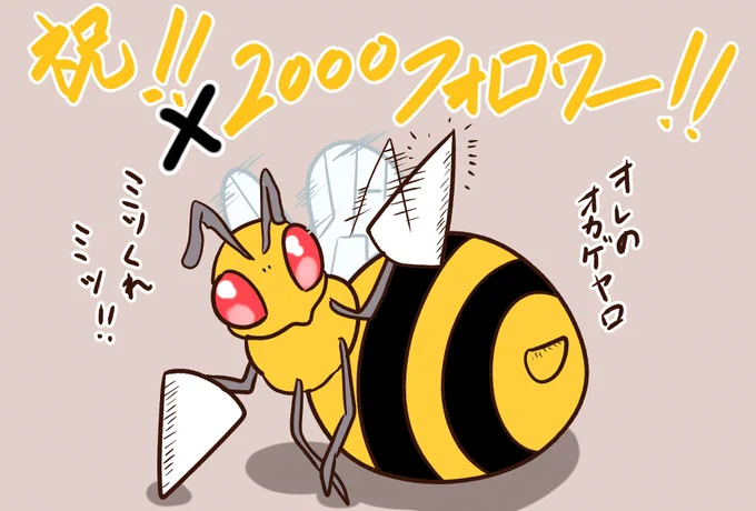 2000フォロワー越え!
ありがとうございます!!m(_ _"m) 