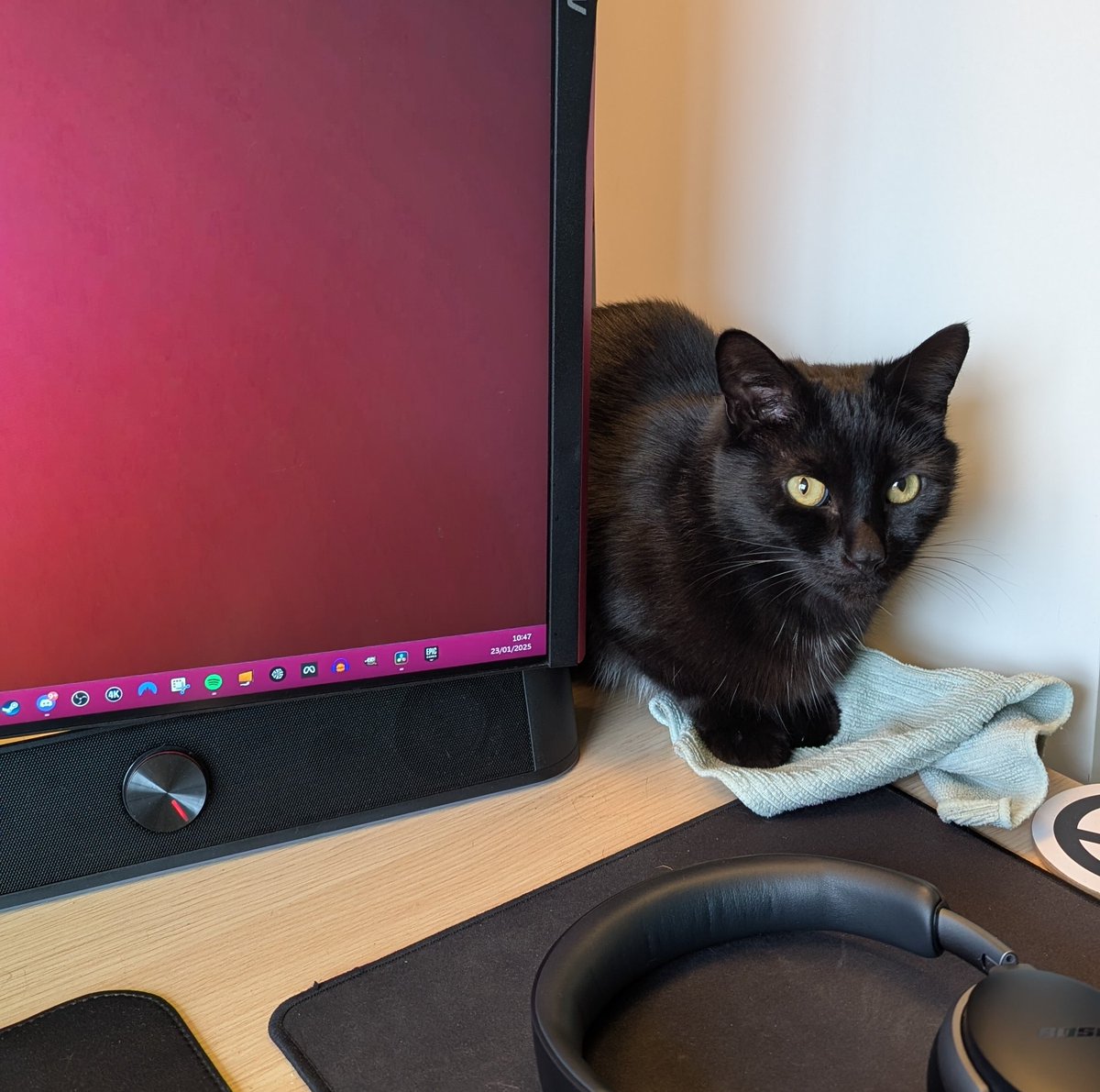 My team for the day. He does no work but somehow still gets employee of the month...