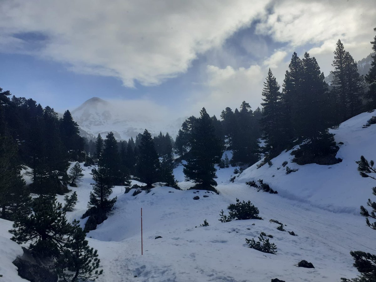 Navarrameteo's tweet photo. Pese al pobre inicio nivoso del año en #Pirineos aguanta bien nevado el valle de la #Contienda con 69cm en el llano a 1720m

La próxima semana es probable que cambie la situación drásticamente a mejor con la llegada de un temporal invernal el 28-31

#LarraBelagua #PirineoNavarro https://t.co/3VHgakTFMm