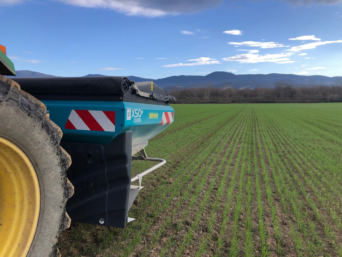 SEMETICAsrl's tweet photo. 🌾 Concimazione azotata a lenta cessione per GRANO DURO FESTADUR Semetica🌾  
📍 Orvieto, metà gennaio
Il grano duro Festadur è in piena fase di crescita, pronto a esprimere il massimo potenziale produttivo. 
#Semetica #GranoDuro #Festadur #Orvieto #AgricolturaSostenibile https://t.co/3MeuHJkyOg
