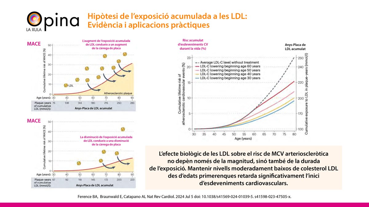 📢Ja tenim el núm 3️⃣ de la #XULAOpina ➡️ “Hipòtesi de l’exposició acumulada a les LDL: Evidència i aplicacions pràctiques”

💬 Comentat per: Dra. Carolina Guerrero Buitrago
🎙️ lipidsxula.wixsite.com/website/la-xul…

#XULA #Lípids #Arteriosclerosi #LDL