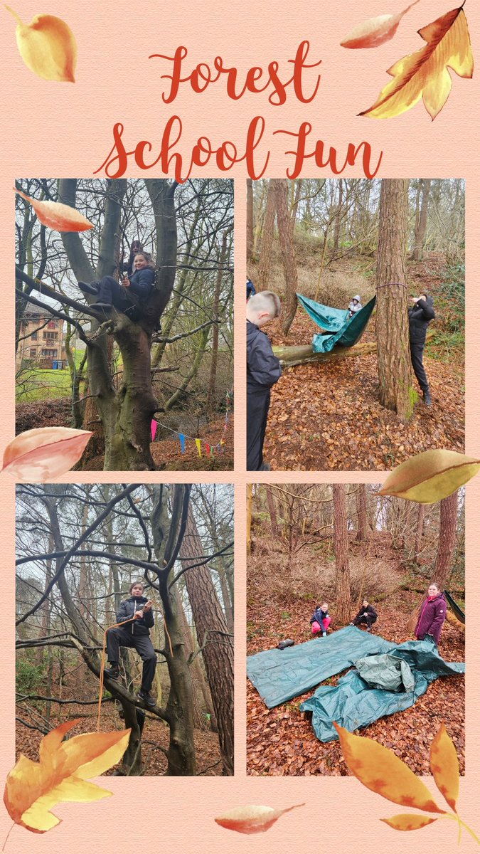 P7/6 are having a great morning climbing trees and building dens at Forest Schools this morning #aiminghigh #outdoorlearning