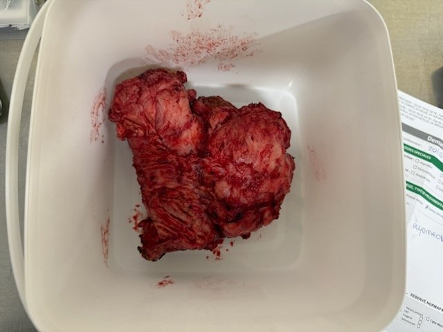 KaraL 💎 tweet media