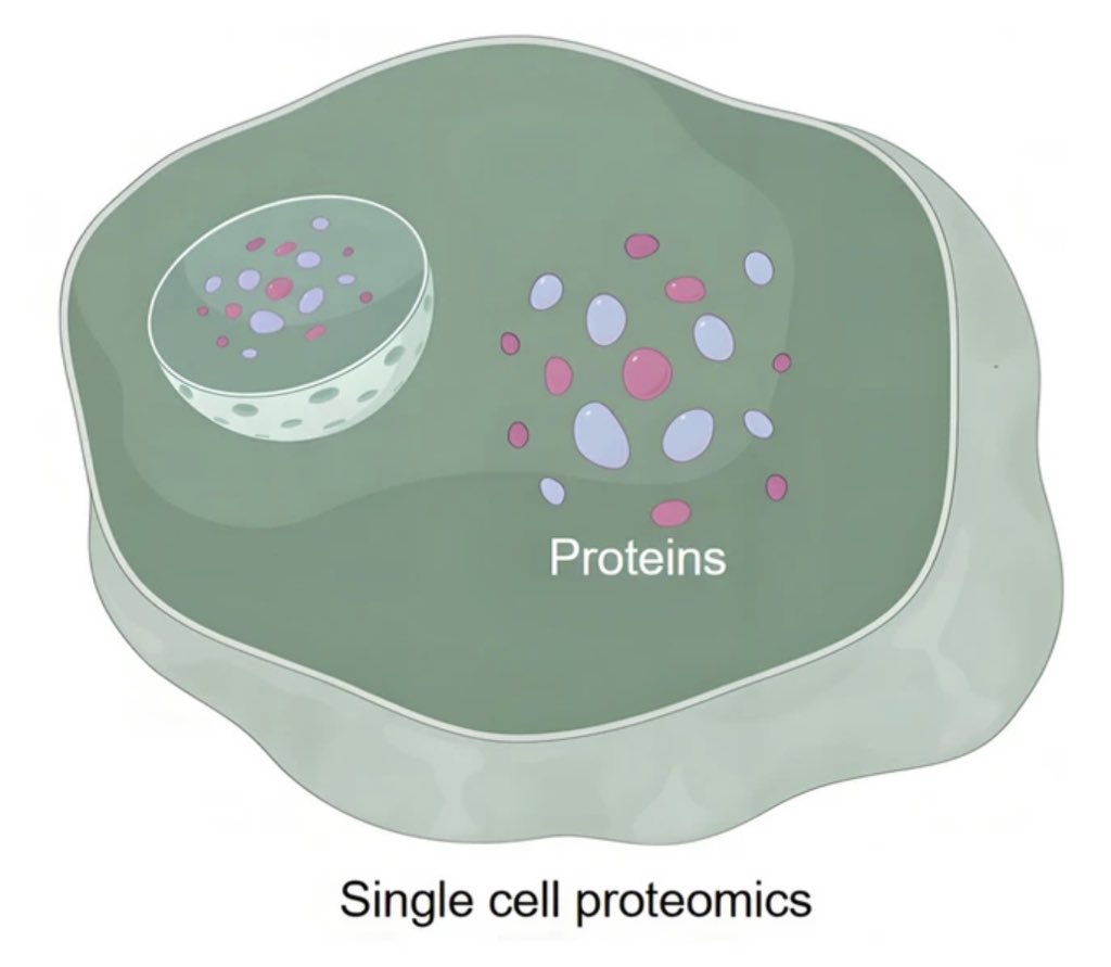Eric Lichtfouse tweet media