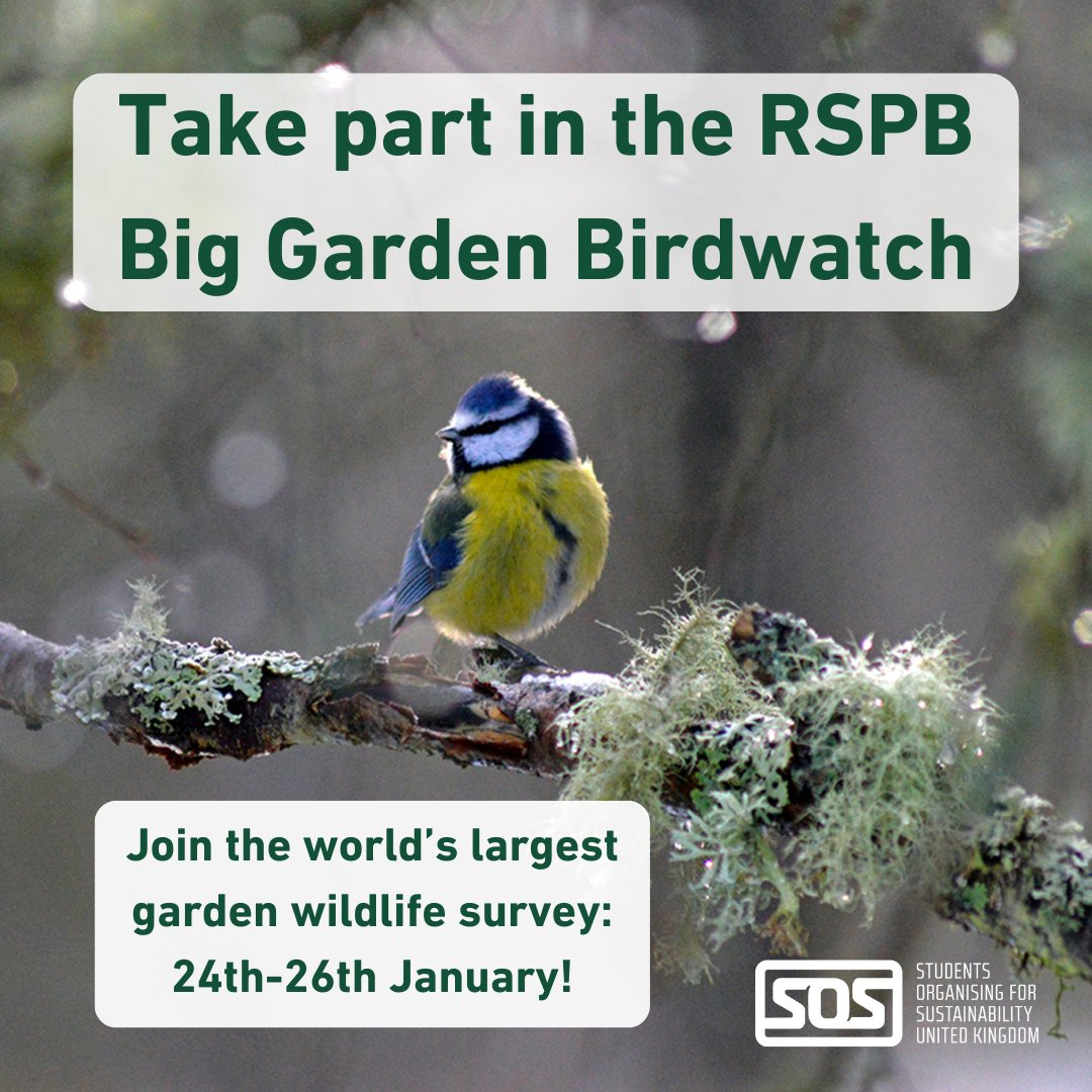 sosukcharity's tweet photo. Join the #BigGardenBirdwatch this weekend: 24-26th January! 👀Spend an hour watching the birds in your patch and submit your records to the RSPB to help give a valuable insight into how garden bird species are faring: https://t.co/gaJU5a0qgf https://t.co/aul7WdOqyU