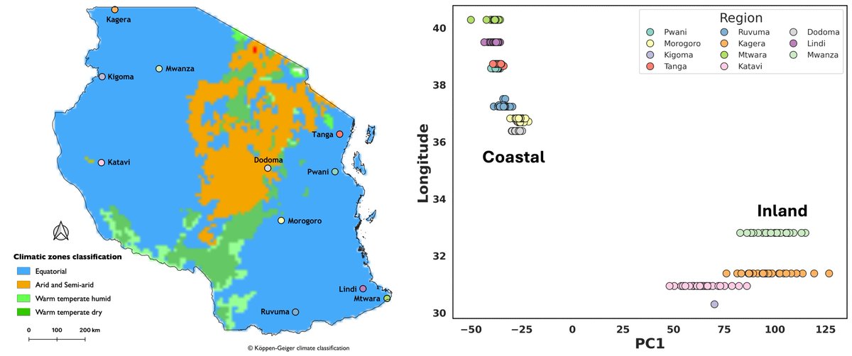 🚨NEW PREPRINT🚨We sequenced the genomes of 334 mosquitoes in Tanzania to investigate the population genomic structure of Anopheles funestus, a dominant malaria vector in eastern and southern Africa. 
biorxiv.org/content/10.110…
