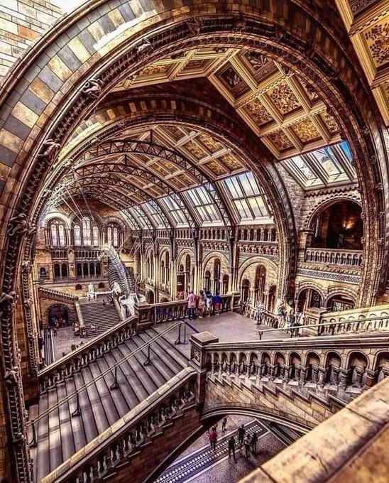 Rainmaker1973's tweet photo. The Natural History Museum in London is home to life and earth science specimens comprising some 80 million items. 

Being a striking examples of Romanesque architecture, it is sometimes dubbed a cathedral of nature: this is its central hall. https://t.co/qdumMpxvDT