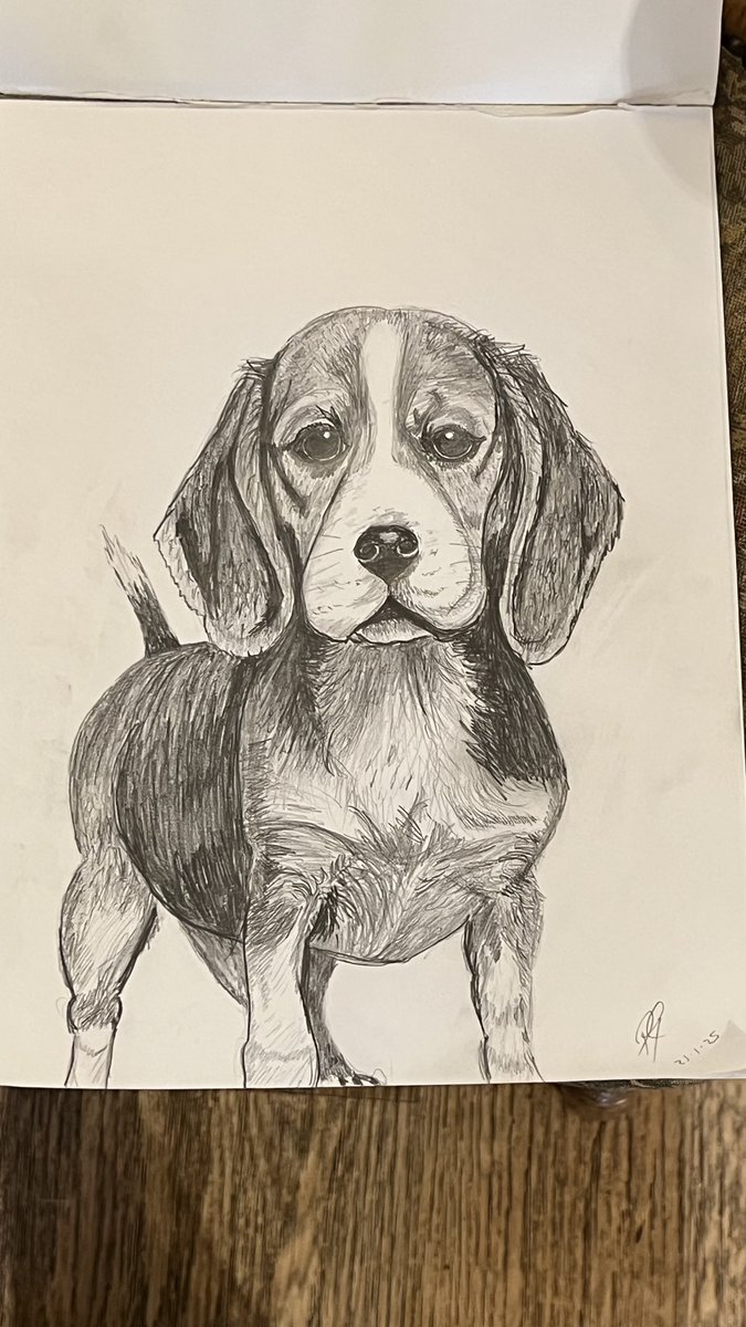 It looks like in order to illustrate my own books; I have to learn to draw. From scratch!
This is the end of week 2, and I'm pleased with the progress so far.