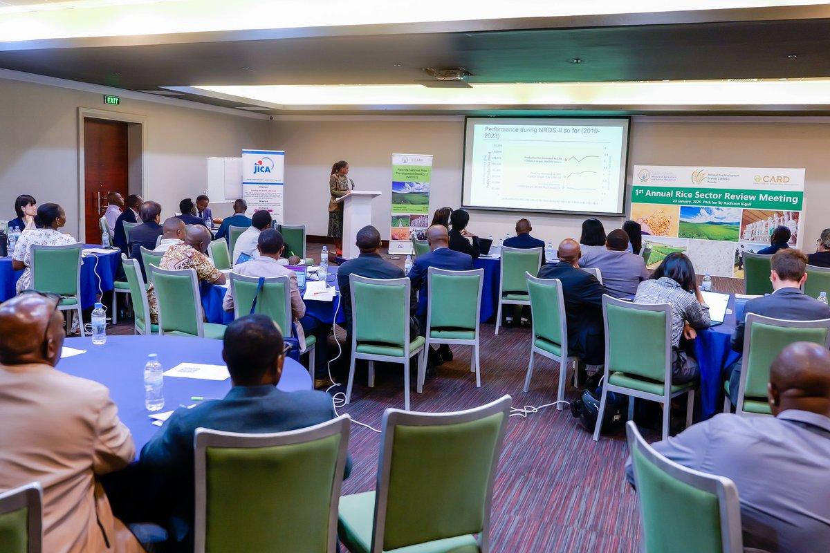 Ministry of Agriculture & Animal Resources |Rwanda (@rwandaagri) on Twitter photo Today, Hon. <a href="/mcbagabe/">Mark Cyubahiro Bagabe, PhD</a> officiated the 1st Annual Rice Sector Review Meeting bringing together stakeholders to assess progress, address issues such as productivity, paddy marketing, and competition with imported rice, and advocate for increased funding to advance the rice sector. Today, Hon. <a href="/mcbagabe/">Mark Cyubahiro Bagabe, PhD</a> officiated the 1st Annual Rice Sector Review Meeting bringing together stakeholders to assess progress, address issues such as productivity, paddy marketing, and competition with imported rice, and advocate for increased funding to advance the rice sector.