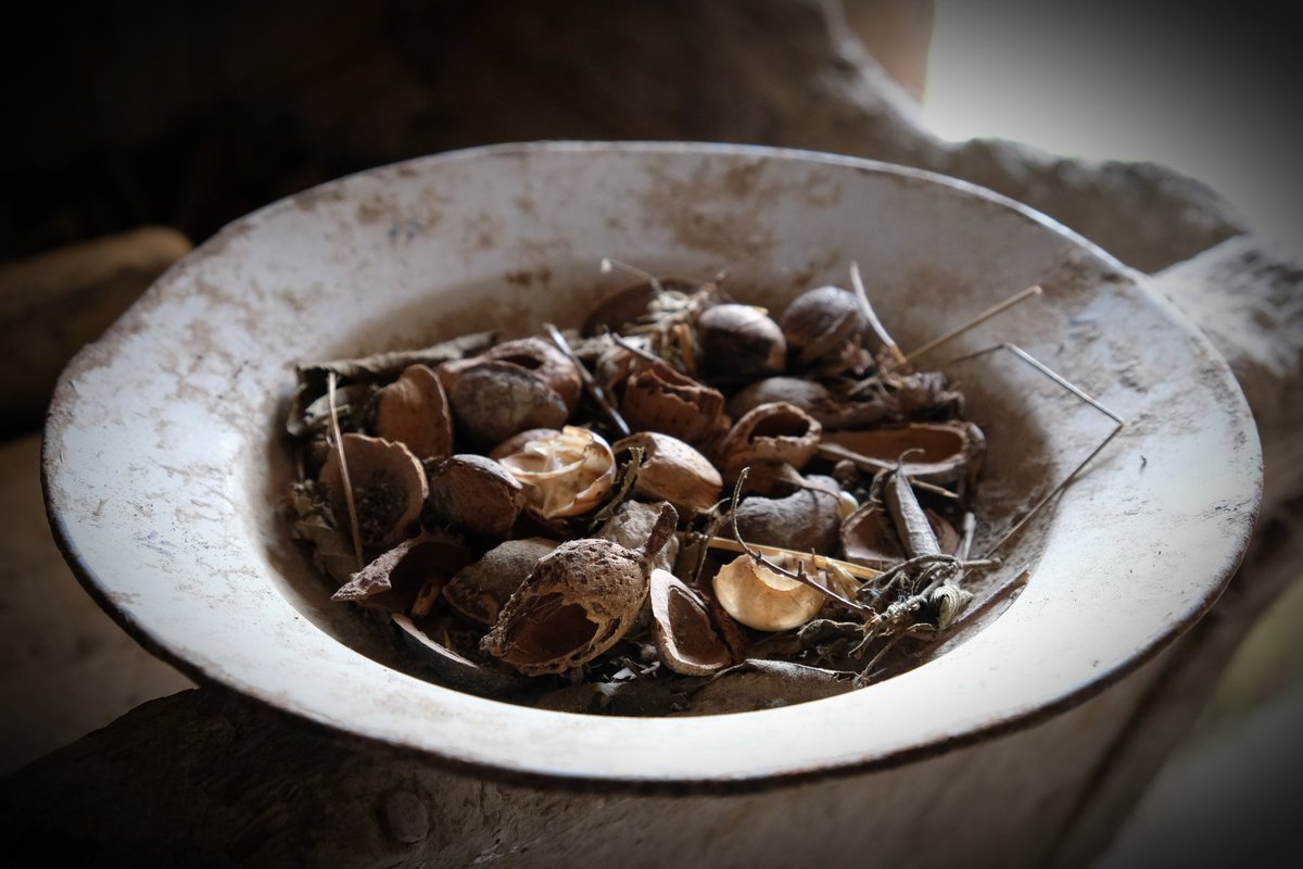 JmSantesm tweet media