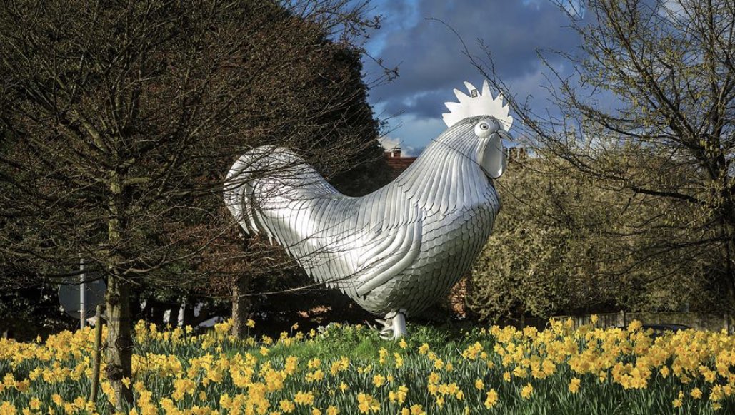 Dorking Wanderers FC tweet media