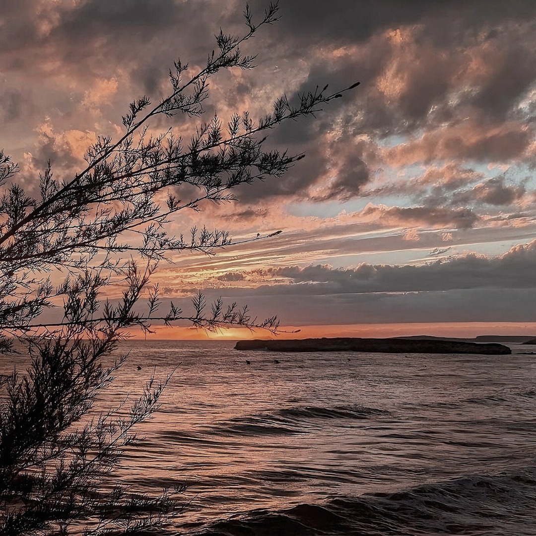 NuramarResort's tweet photo. ¡Ven y déjate envolver por la belleza natural de esta isla!
Cada sendero invita a explorar y cada vista a ser inmortalizada.

Nuramar Resort ↴
 https://t.co/NHELT1wO0V
📷+34 660425059

 #NuramarResort #Atardecer #MomentosMágicos #Menorca #baleares #igersbalears #calaenbosch https://t.co/C3bFAH7Pqr