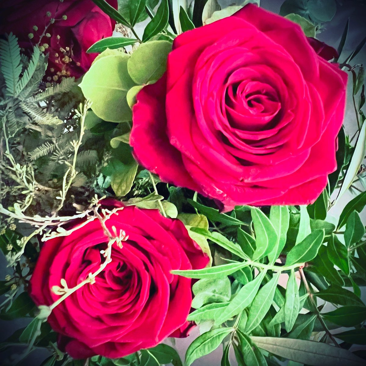 tigermaus8 tweet media