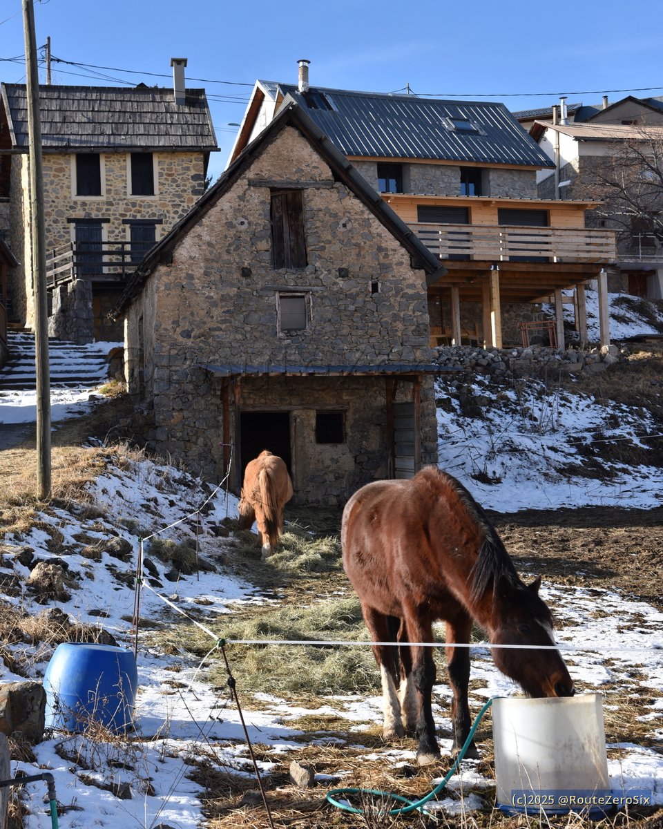 routezerosix's tweet photo. Habitat typique du hameau des Launes entre Beuil et Valberg (Alpes-Maritimes)

#Beuil #LesLaunes #Valberg #AlpesMaritimes #CotedAzurFrance #BaladeSympa #ExploreRegionSud @VALBERGAlpesSud https://t.co/9z8p5veYED
