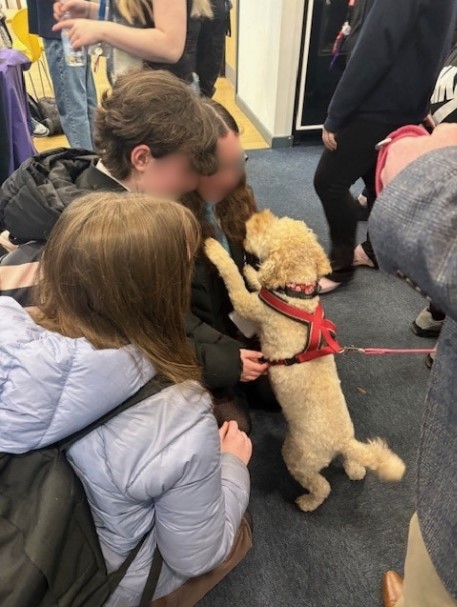 wyvernstedmunds's tweet photo. Yesterday, a group of Year 10s had a great time the Appren-T-Fest event at S6C. Students had the opportunity to visit a wide variety of providers, ask questions and find out about future opportunities.
#apprenticeships #appren-t-fest #apprenticeshipweek #lifeafterschool https://t.co/zlyQ3C1W2f