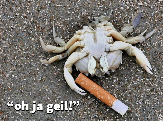 "Rauchen ist Krebs erregend."   

Der Krebs: