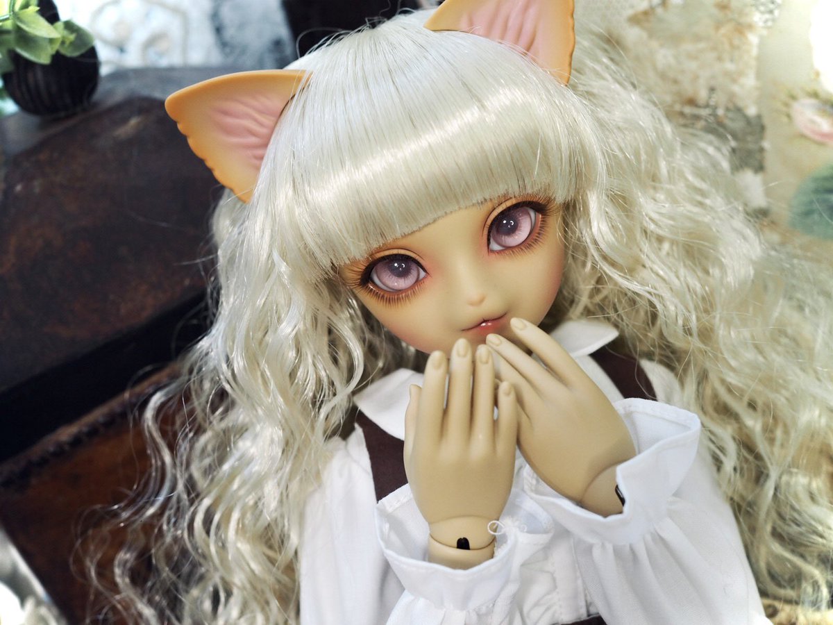 kotorie1218's tweet image. おやすみにゃん🌙🐾
#LUTS ｼﾞｬｽﾐｰﾇ