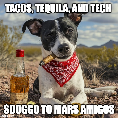 Introducing El Doggo, the first memecoin on $BASED L1

🪙 1B total supply on-chain.
🚀 95% reserved for community Airdrop
💻 5% to dev/owner, locked 180 days, then vesting for 10 months.
🔥 Unclaimed tokens will be burned

Stay tuned Amigos.
#firstDogOnBased #BasedAI $doggo
