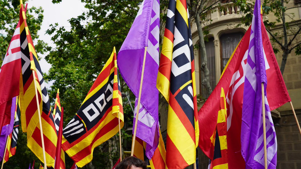 El proper diumenge 2 de febrer sortim als carrers a tot el pais per denunciar l’oportunisme polític dels partits a l’oposició i exigim al govern que tramiti urgentment els decrets que afecten als pensionistes, perceptores SMI i IMV, usuaris transport públic i risc desnonament..