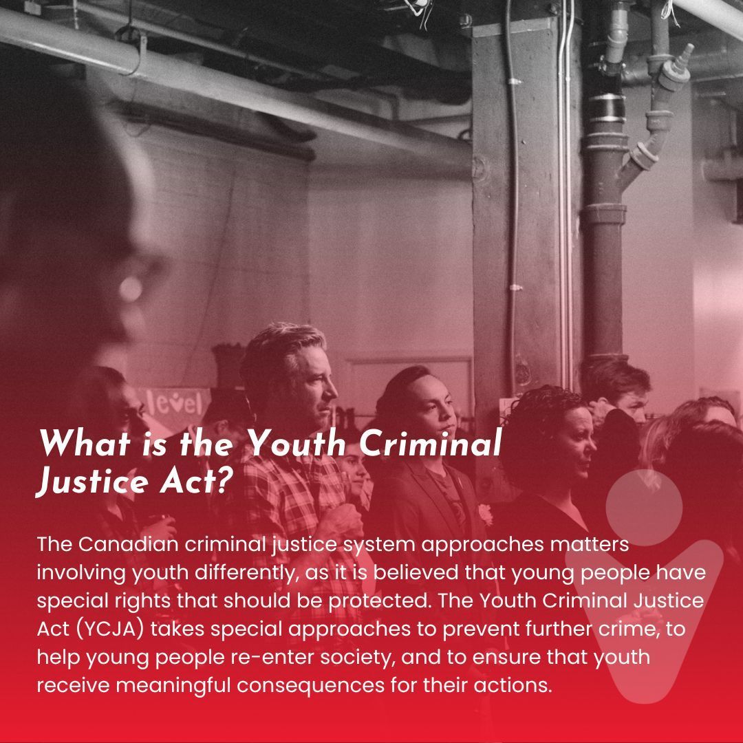 Level Justice tweet media